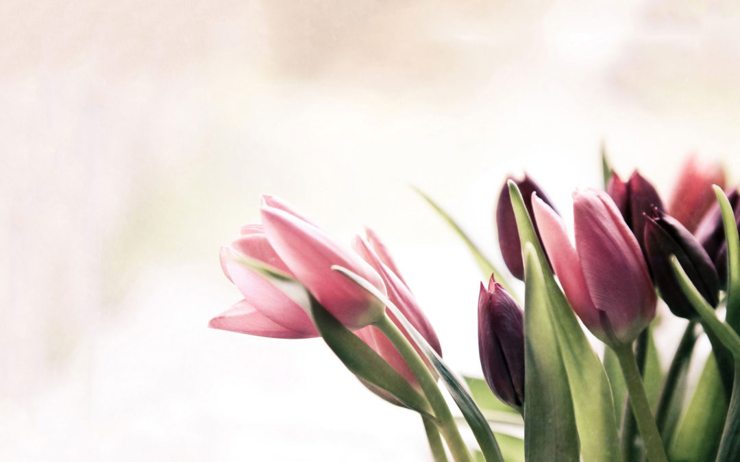 Welcome to our New Blog!